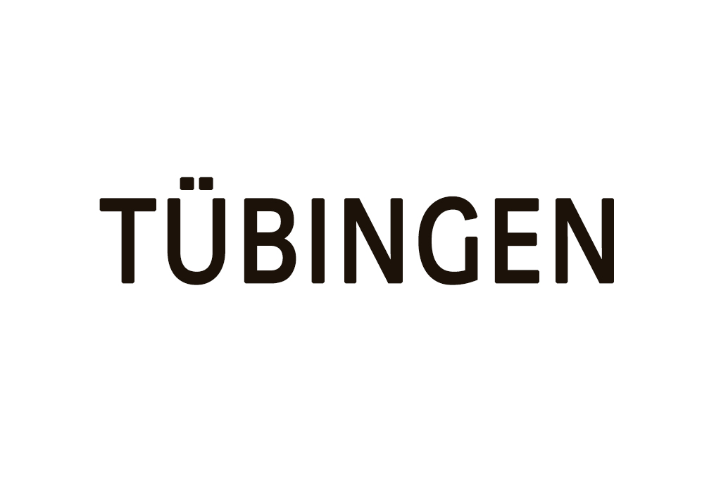 Tuebingen_Platzhalter